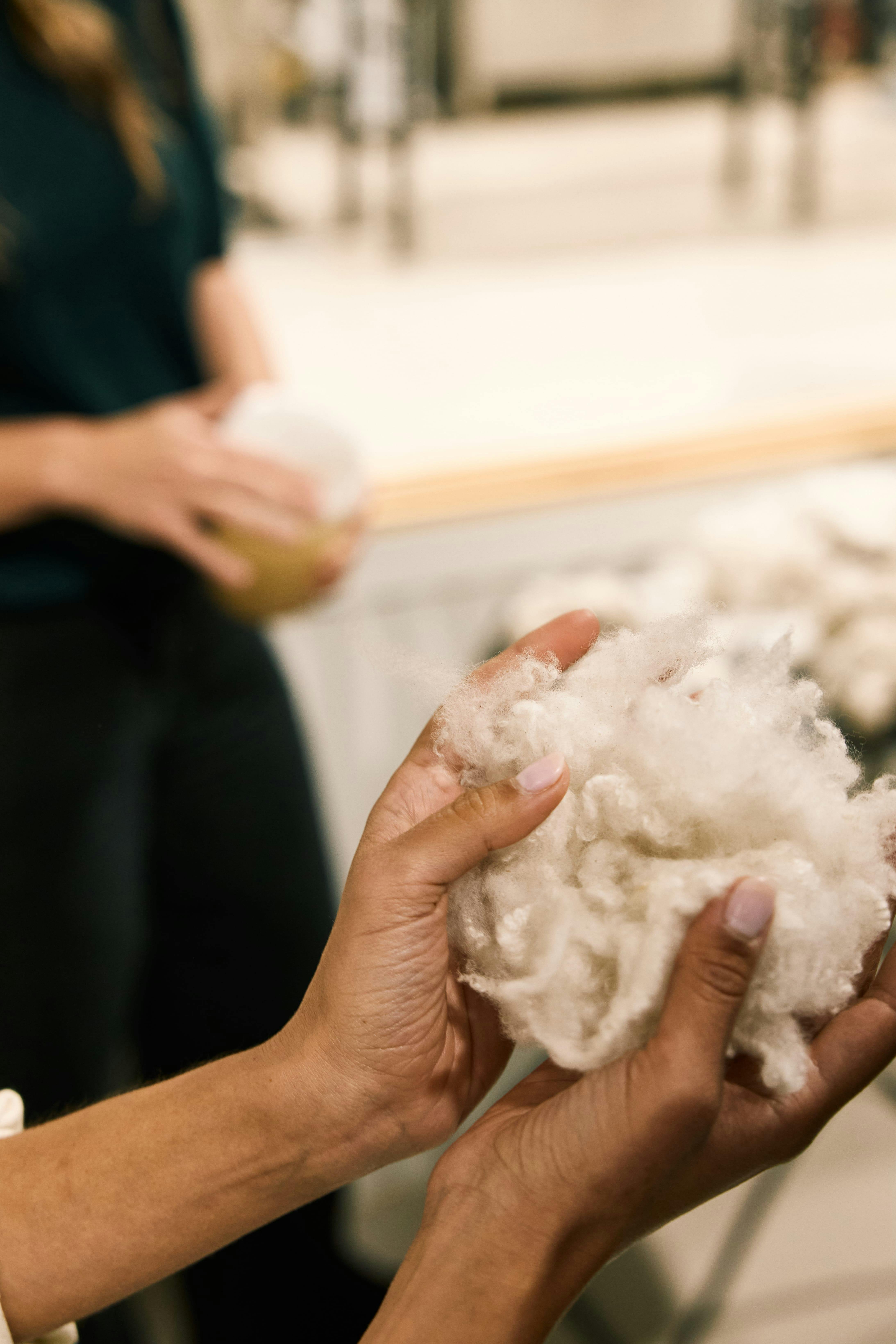 Wool