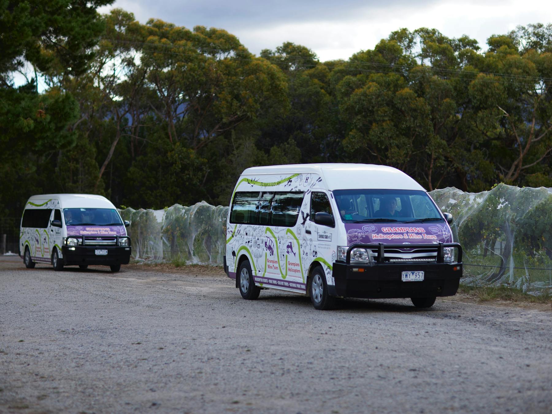 Experience the Grampians