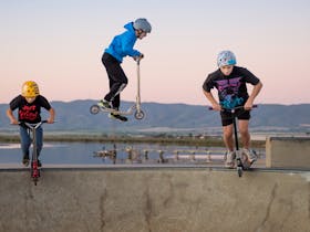 Kids on scooters