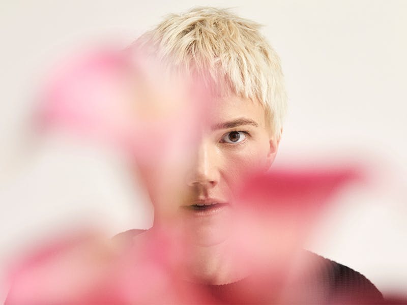 Image for A Midsummer Night's Dream