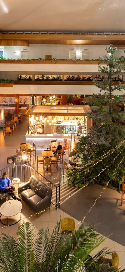 A large airy room full of lush green trees and plants at hotel in Canberra