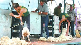Dunedoo Show