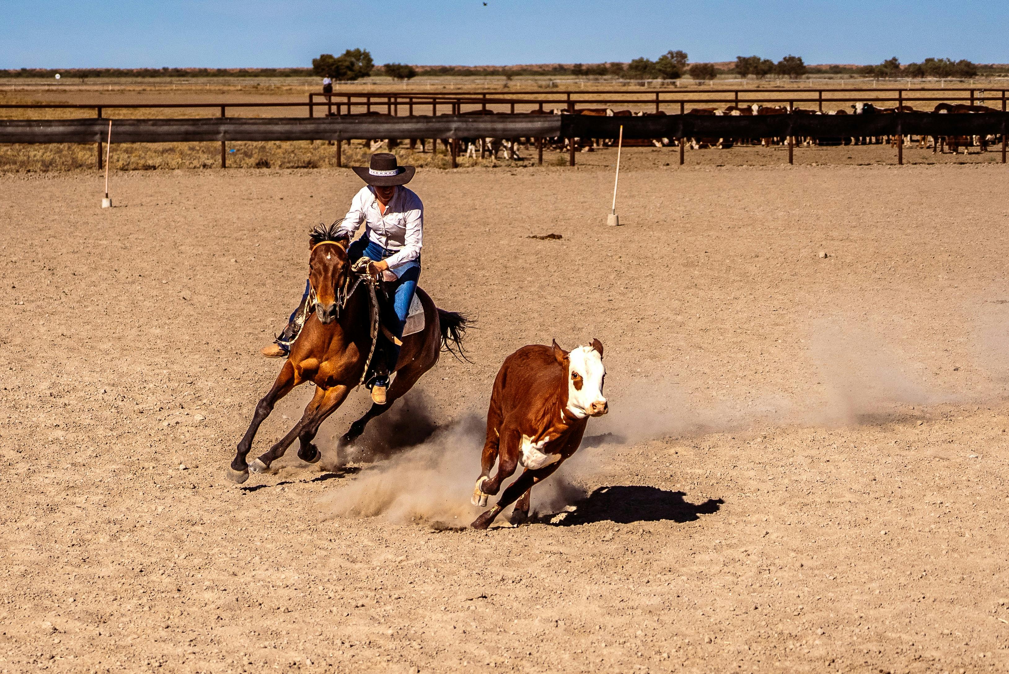 Bedourie Campdraft, Rodeo, Gymkhana