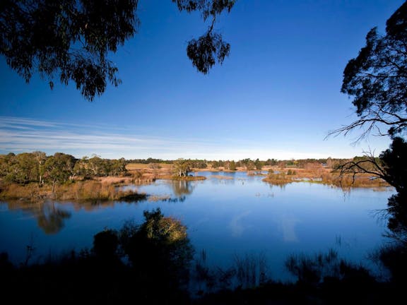 Cecil Hoskins Nature Reserve