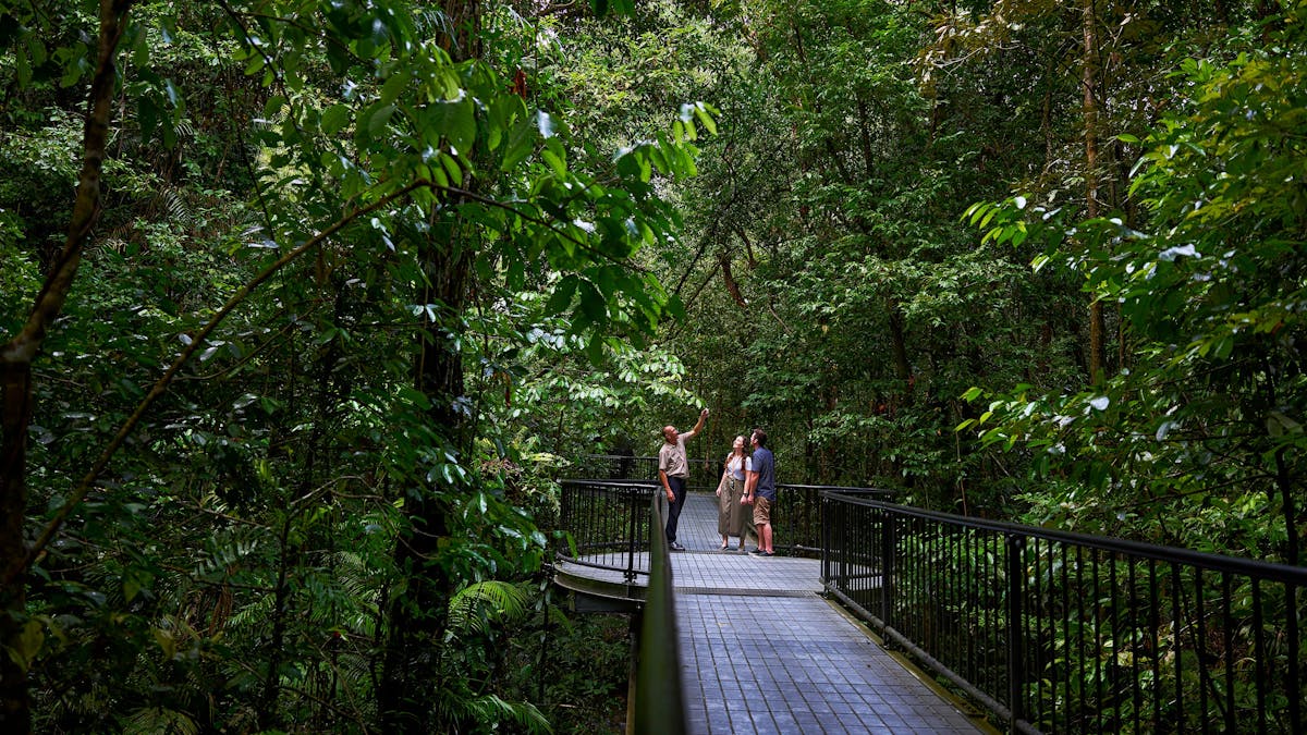 Driver Guide with passengers on a boardwalk in Mossman Gorge.