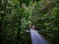 Driver Guide with passengers on a boardwalk in Mossman Gorge.