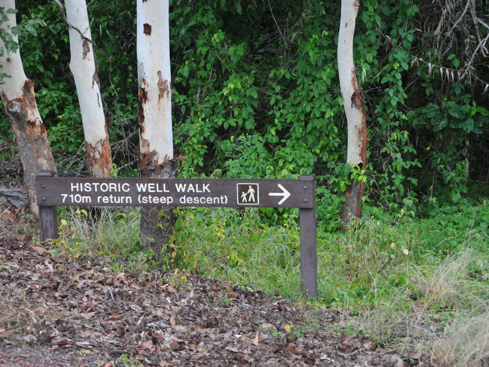 Beatrice Hill Well and Stone Fences