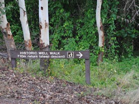 Beatrice Hill Well and Stone Fences