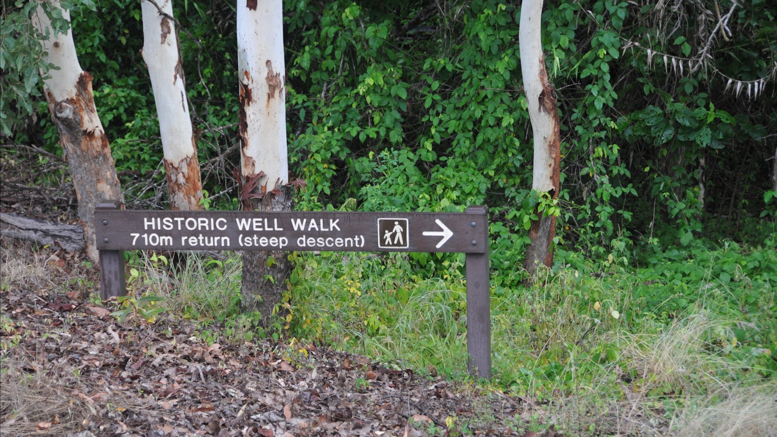 Directional signage along the walkway between the carpark and the Window on the Wetlands display.