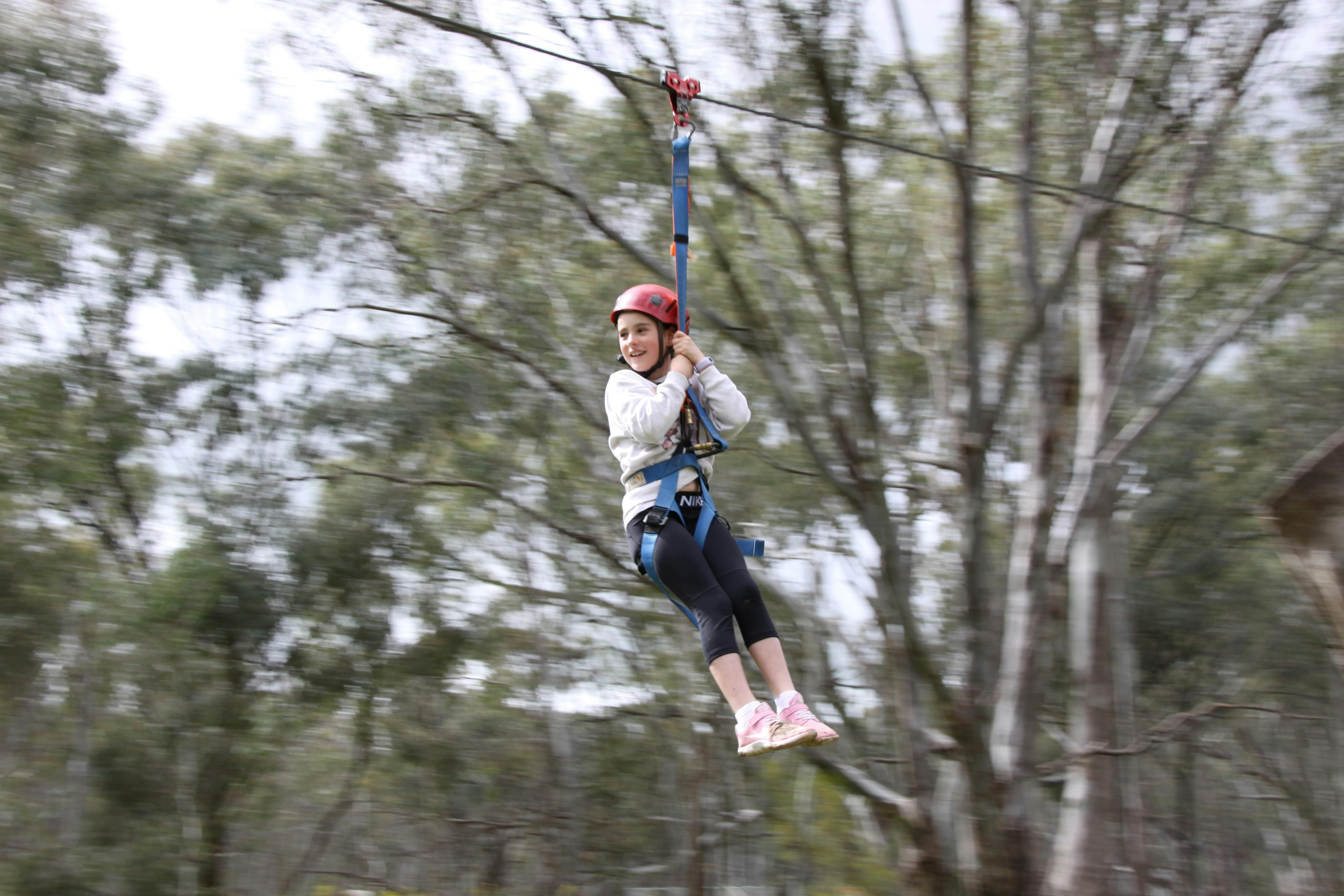 Flying Fox Echuca