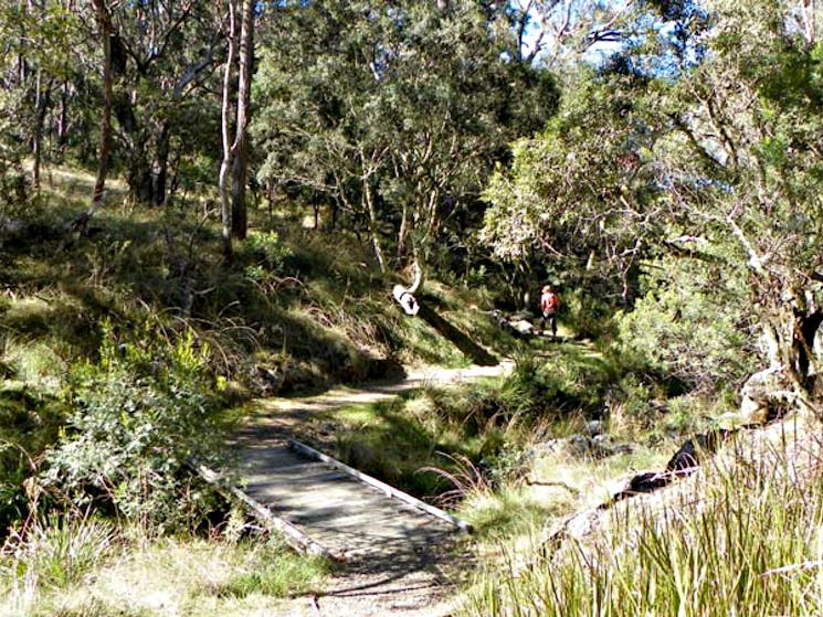 Bridge along the Wollomombi walk. Photo: J Lehmann