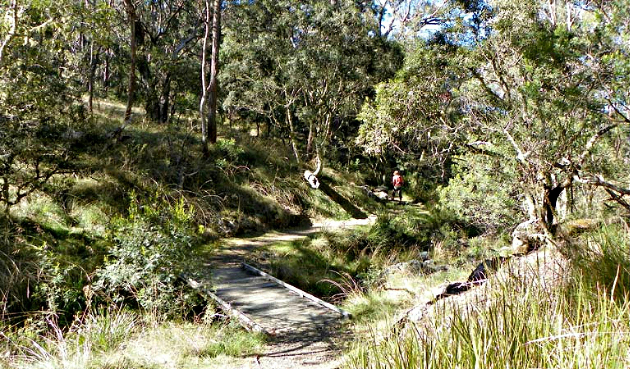 Wollomombi Walking Track Nsw Holidays And Accommodation Things To Do