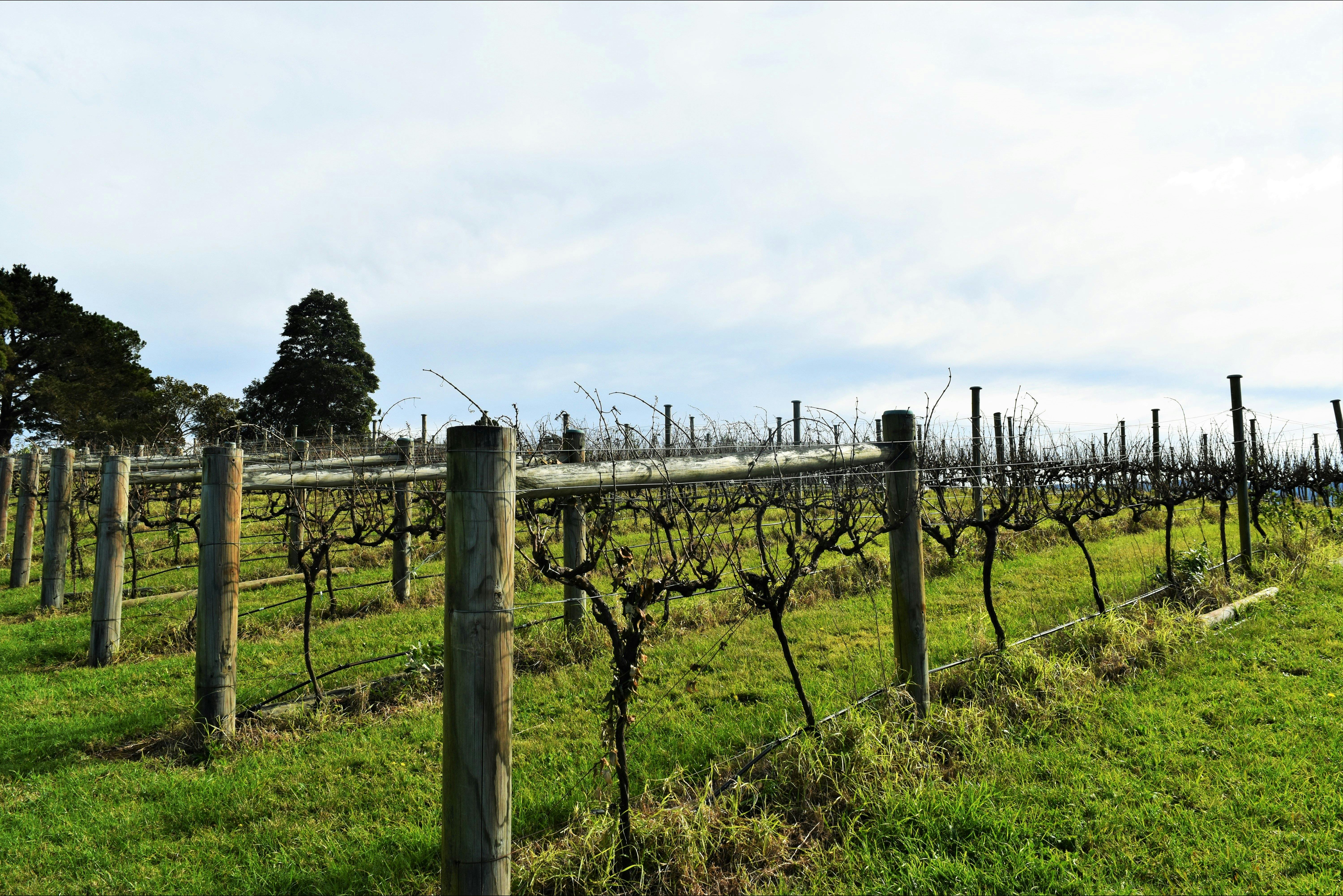 Southern Highlands Winery