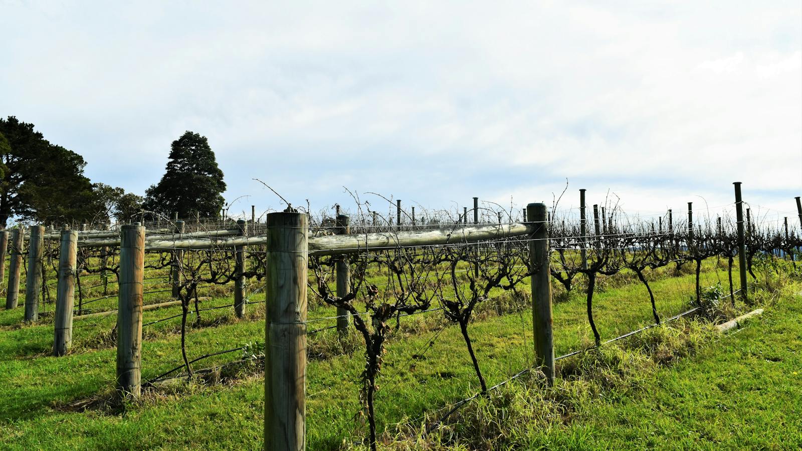 Southern Highlands Winery