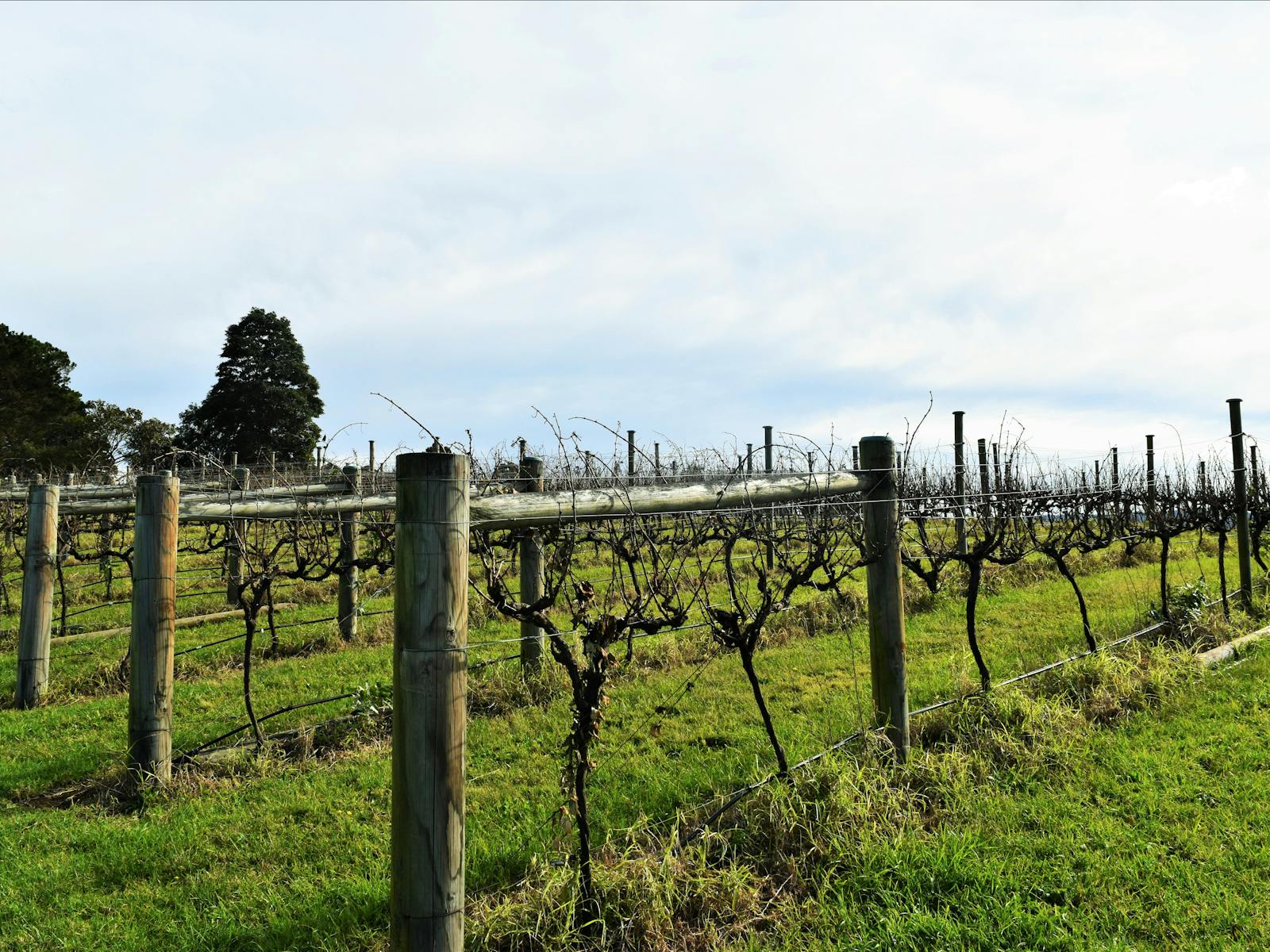 Southern Highlands Winery