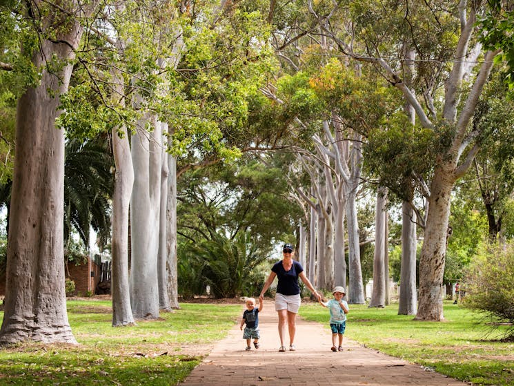 Hunter Park NSW Holidays & Things to Do, Attractions and Events Hunter Park NSW Holidays & Things to Do, Attractions and Events