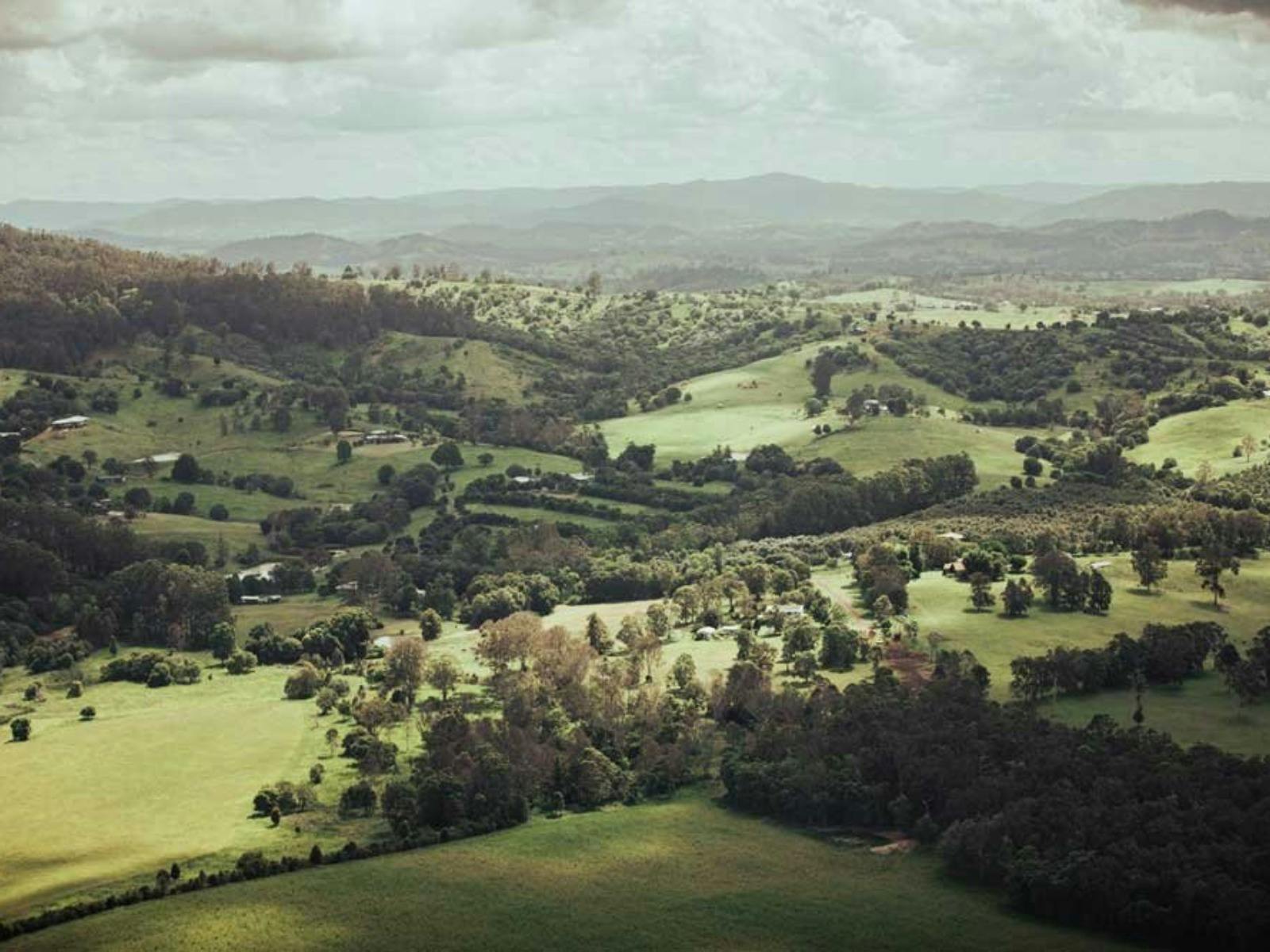 Helicopter ride from Noosa to Dingo Creek Winery