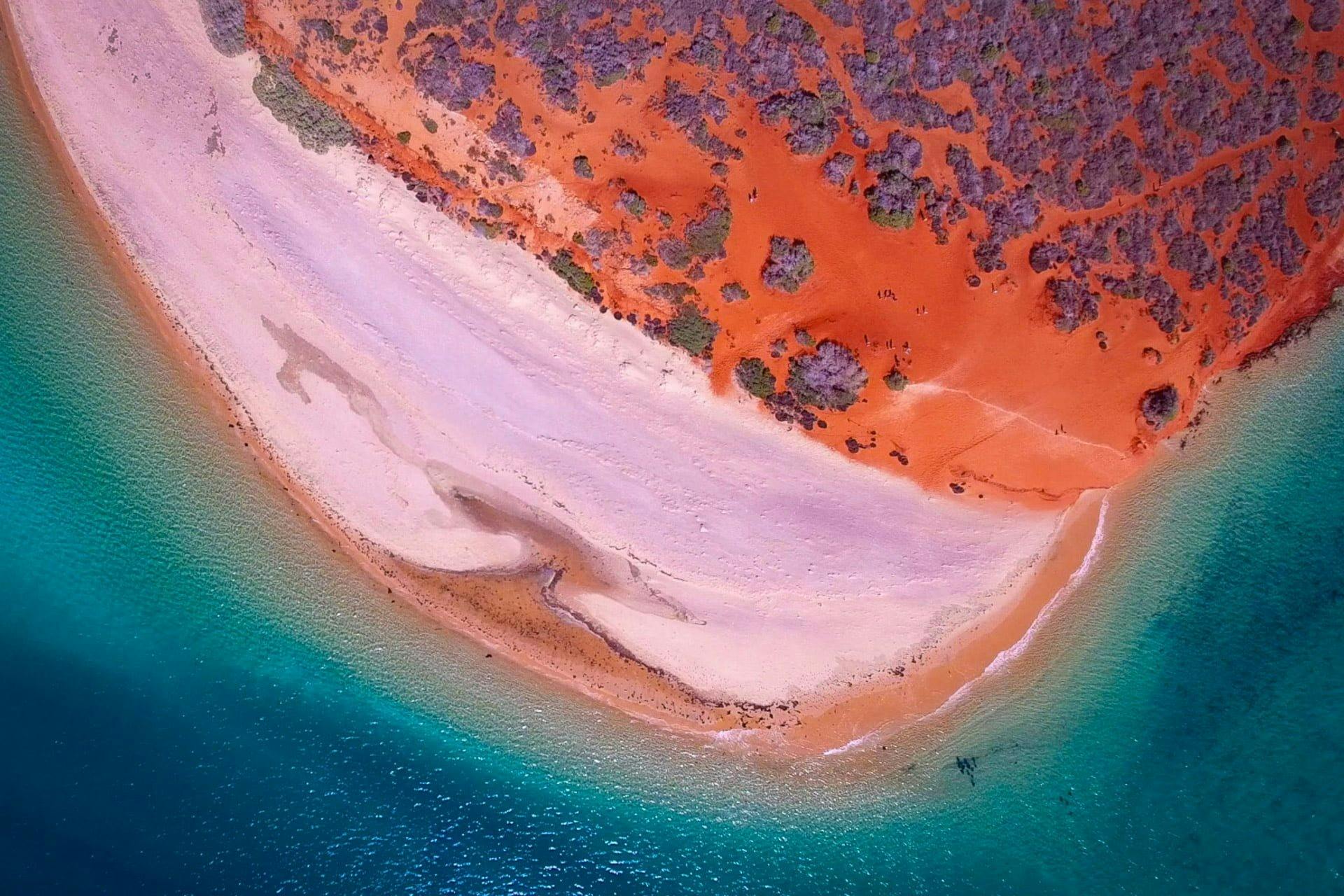 Desert meets the sea at Shark Bay, Western Australia