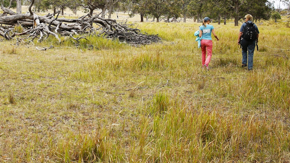 Two people walking through camping area.