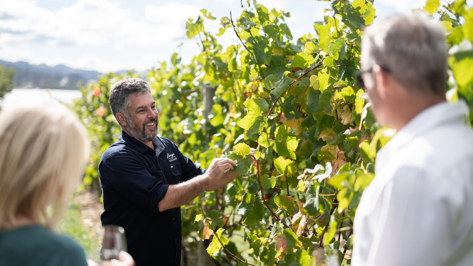 Bangor Vineyard Tour