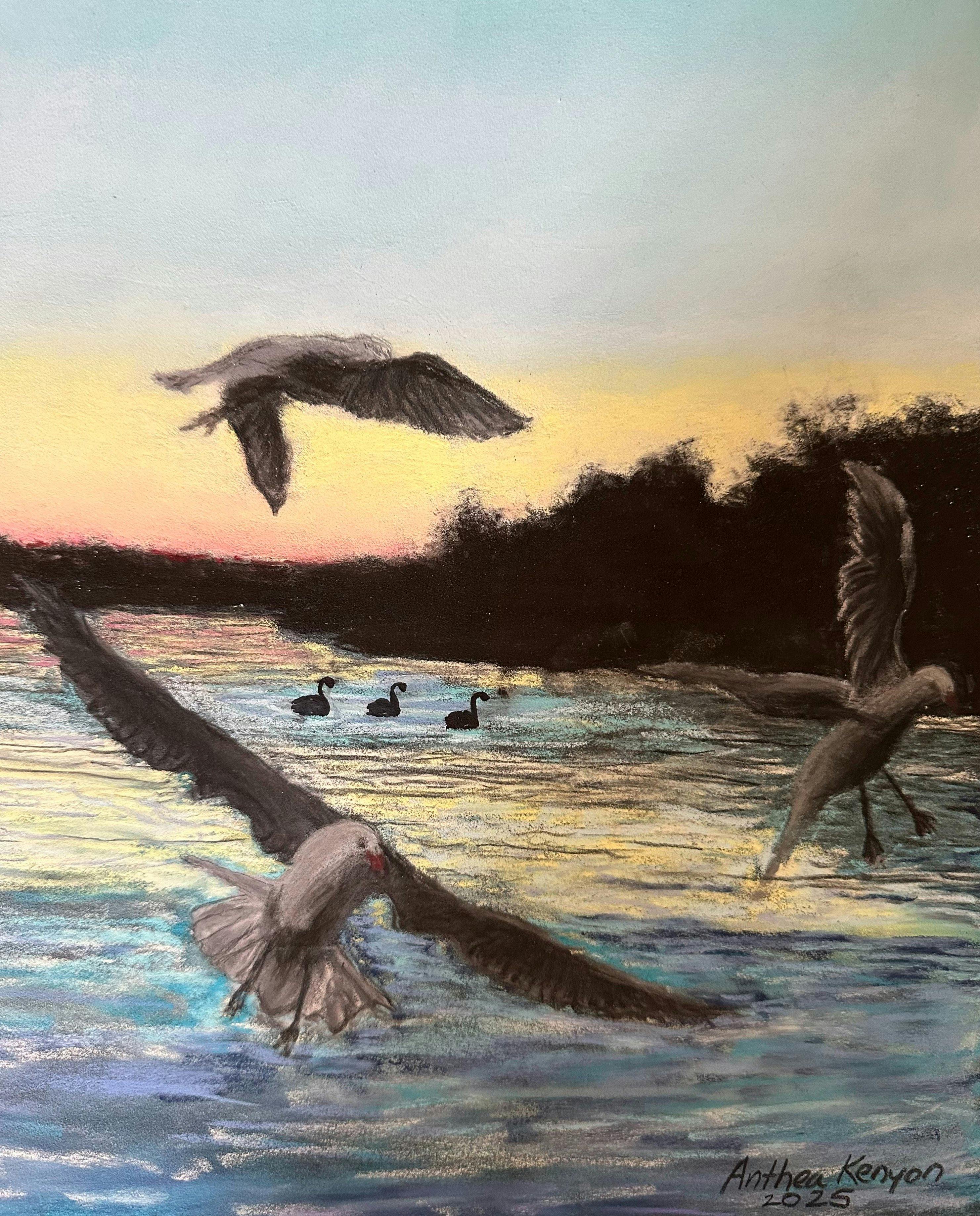 pastel artwork of seagulls over water by Anthea Kenyon
