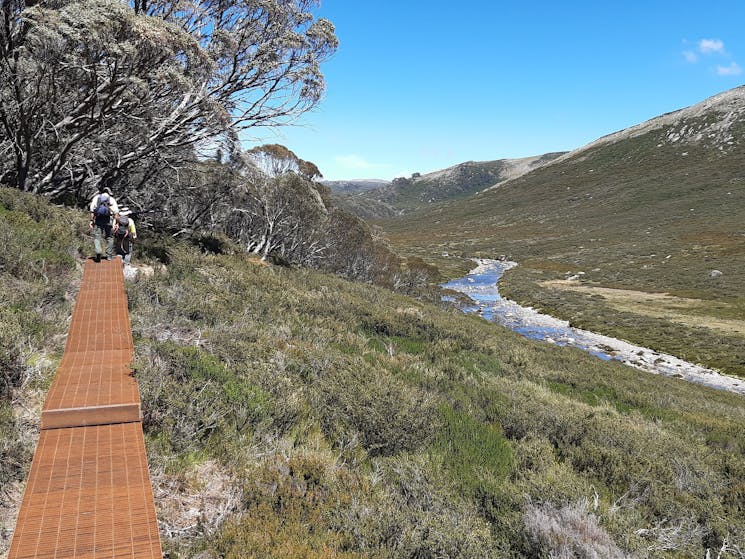 A boardwalk in the Snowy Mountains