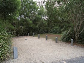 Springbrook National Park camping