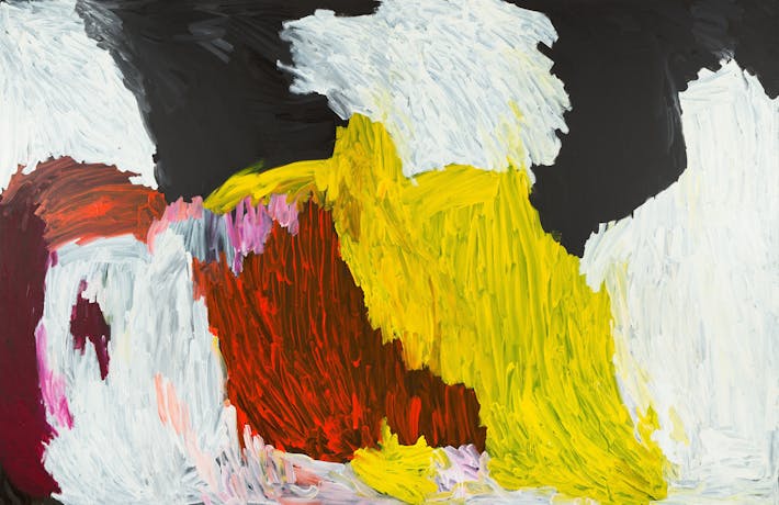 Indigenous painting with large brushtrokes and shapes of colour