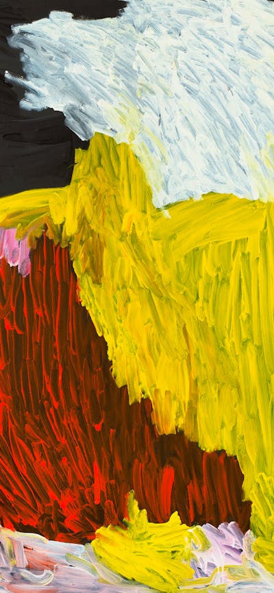 Indigenous painting with large brushtrokes and shapes of colour