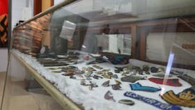 The Jackson Collections