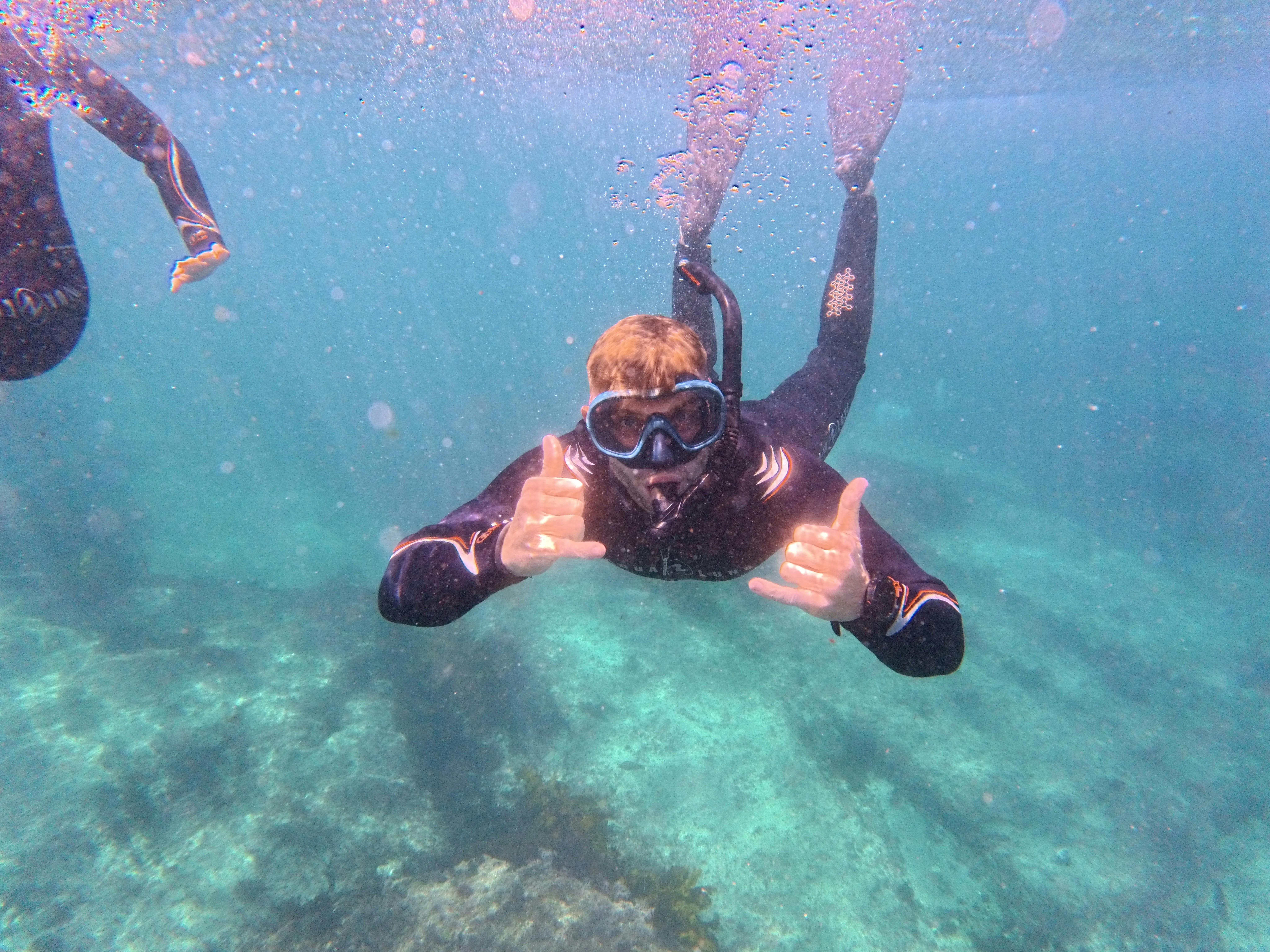 Sydney Snorkeling