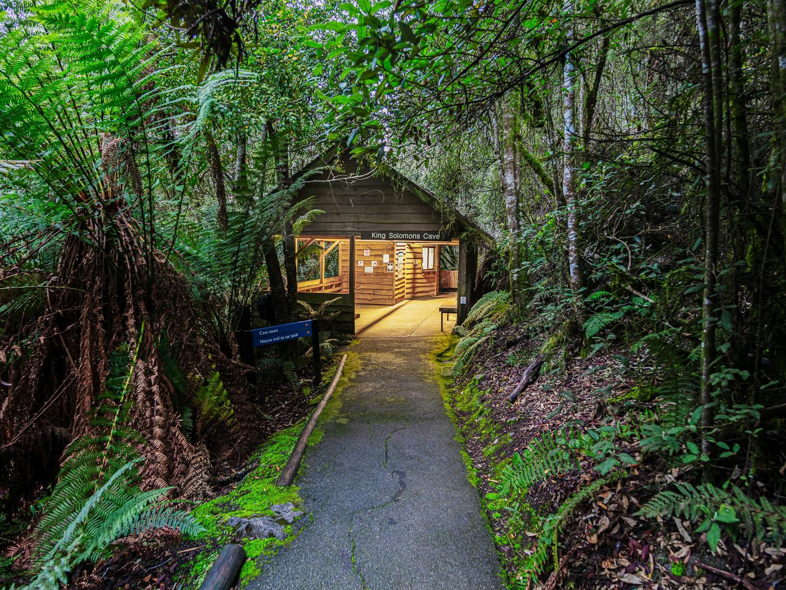 The entrance to King Solomons cave  is surrounded by  lush verdant rainforest and winding paths.
