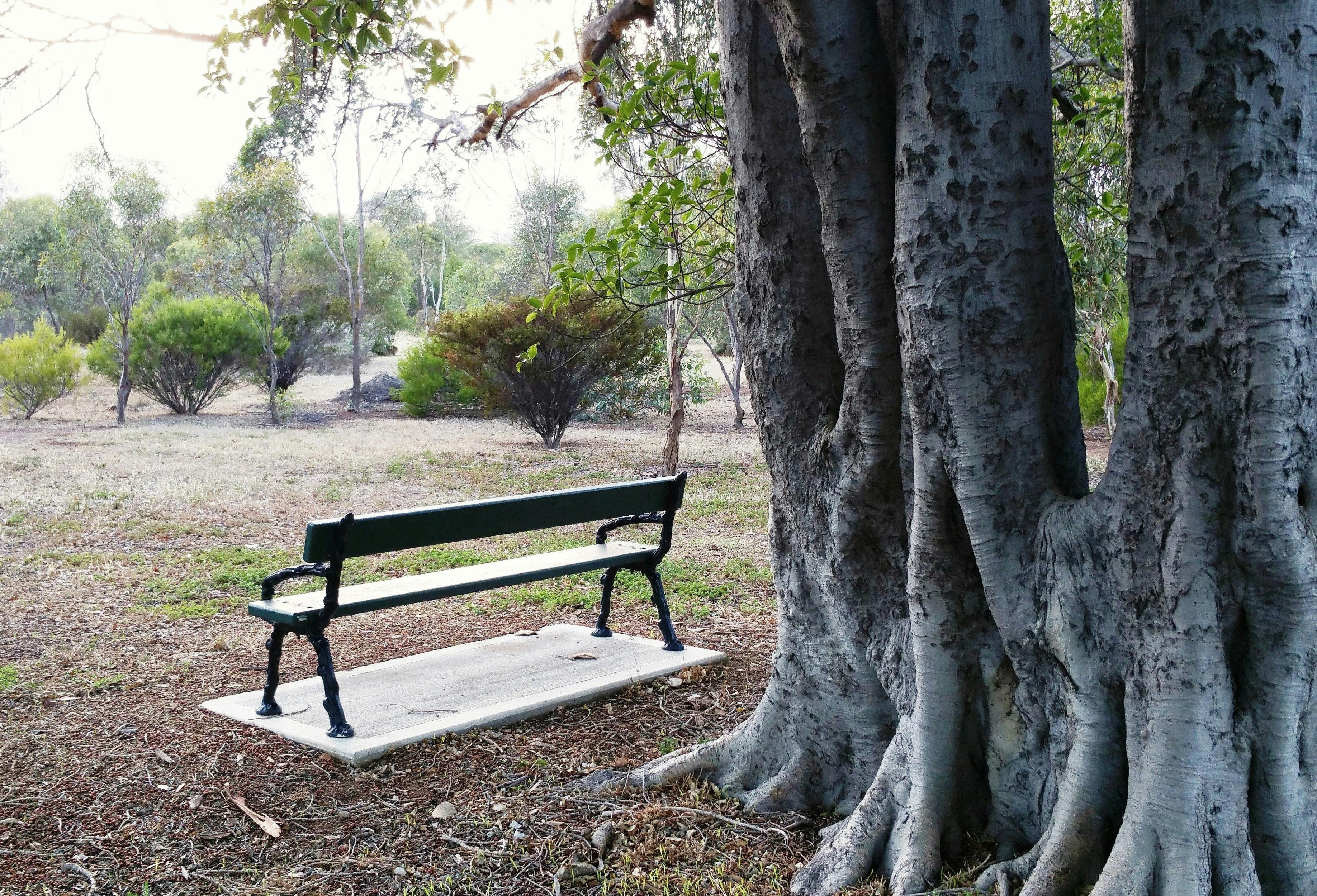 Guided Walk through Adelaide's northern Park Lands (Parks 3, 4 and 5)