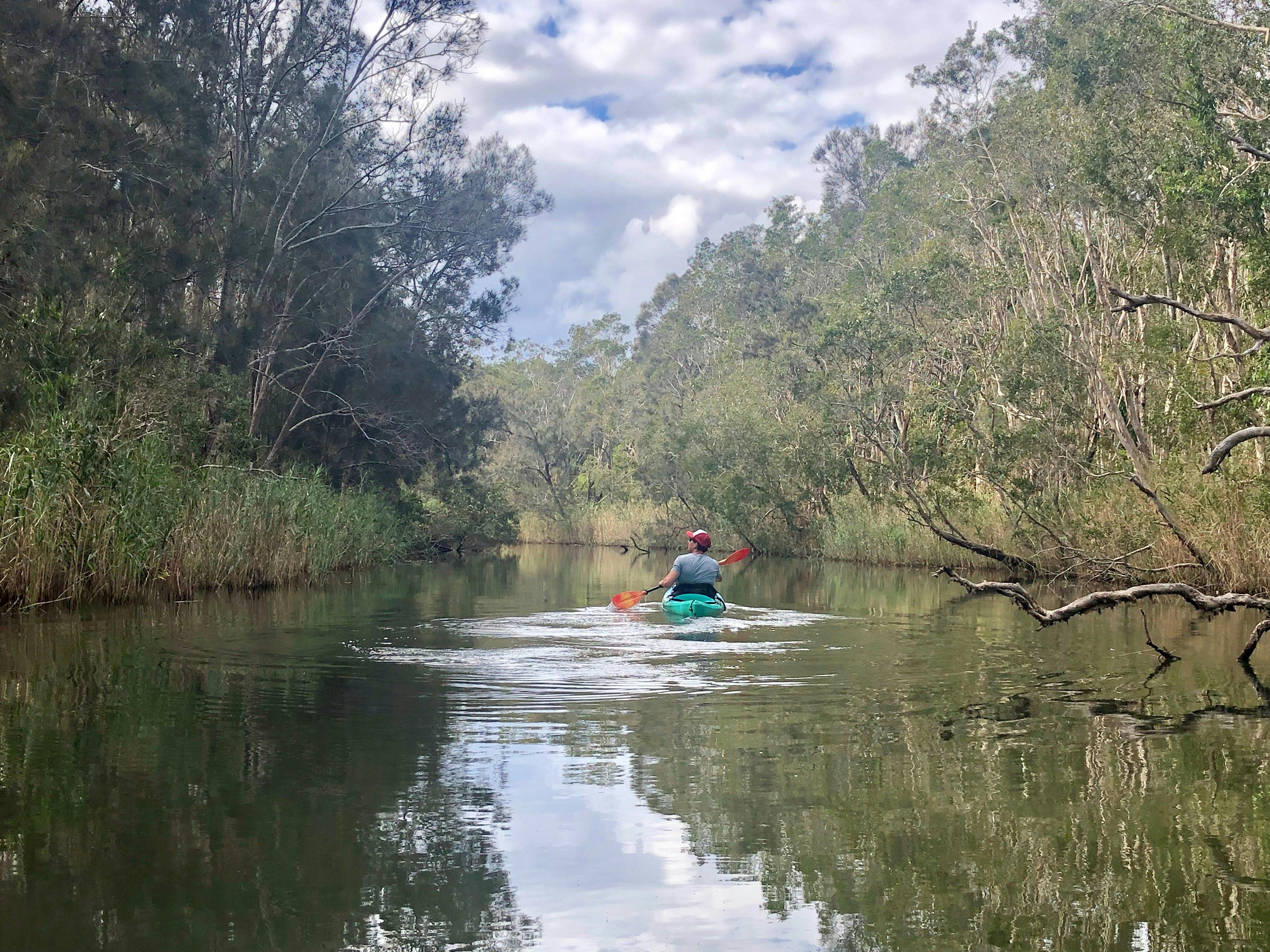 Kayaking @ Cudgen Creek