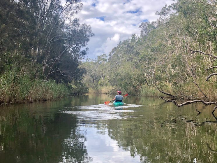 Kayaking @ Cudgen Creek