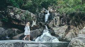 Paluma and Crystal Creek Rainforest