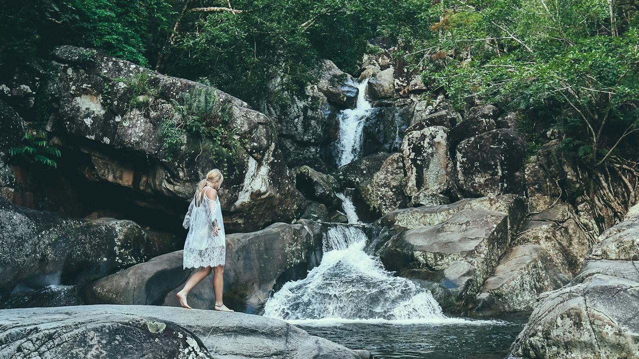 Paluma and Crystal Creek Rainforest