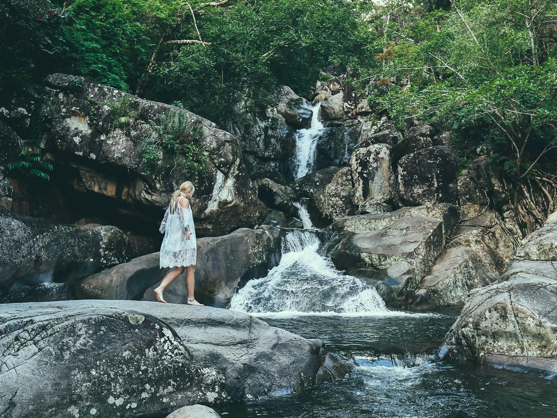 Paluma and Crystal Creek Rainforest
