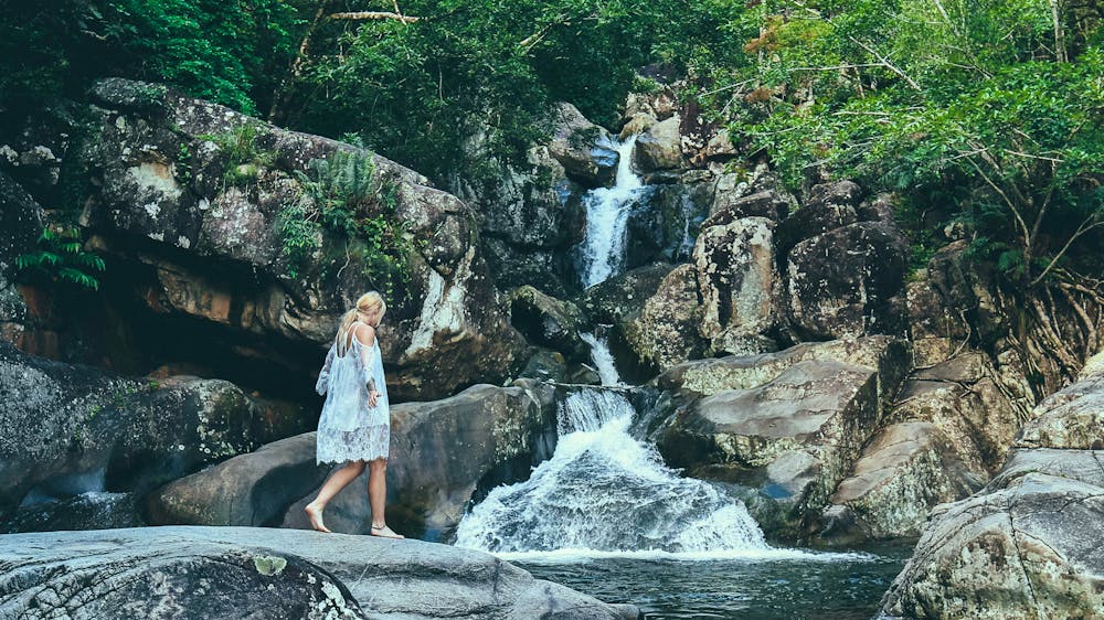 Paluma and Crystal Creek Rainforest