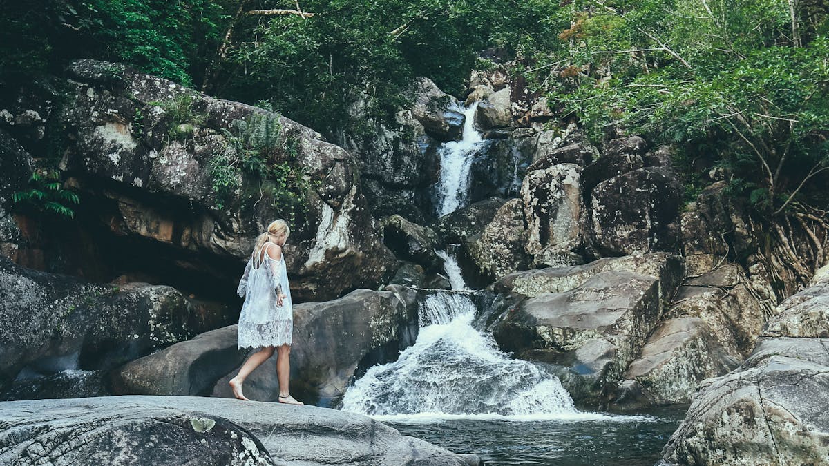 Paluma and Crystal Creek Rainforest