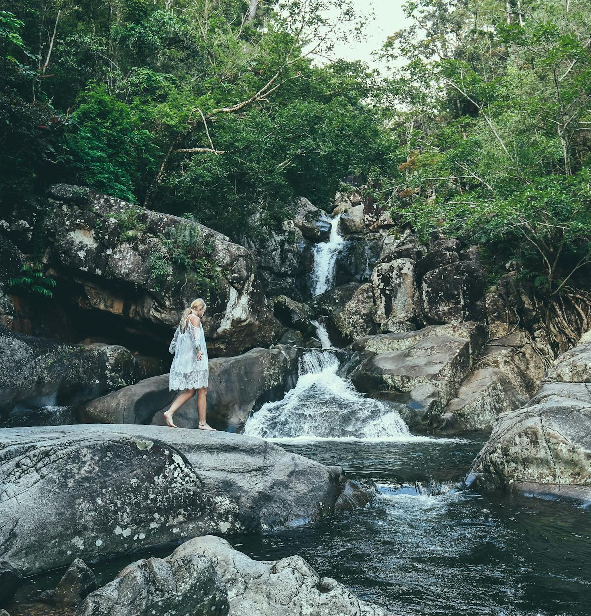 Paluma and Crystal Creek Rainforest