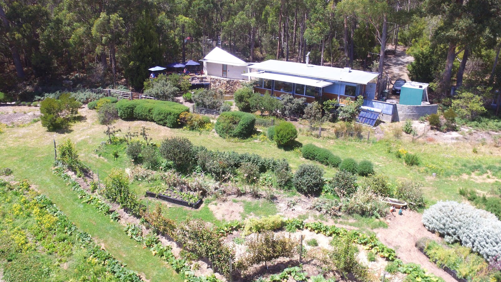 Aerial view of cafe and kitchen garden