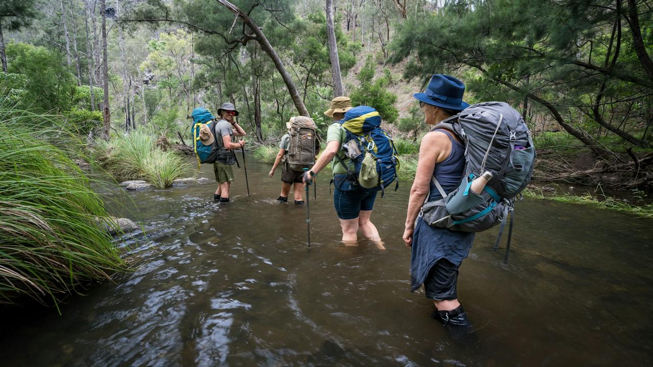 Green Gully Track