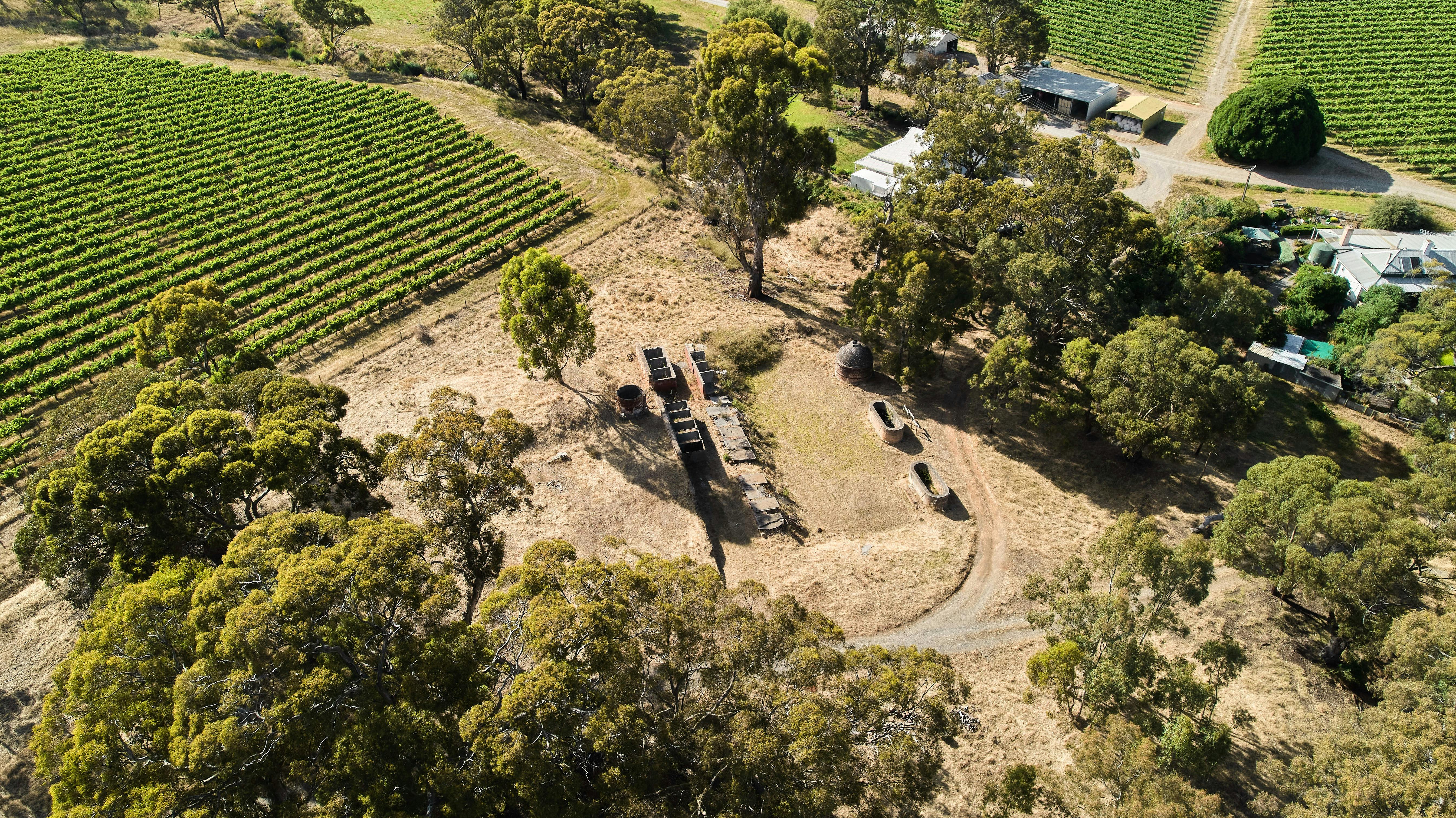 Ox Hardy Wines