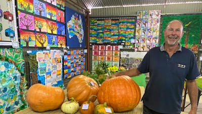 Yass Show pumpkins