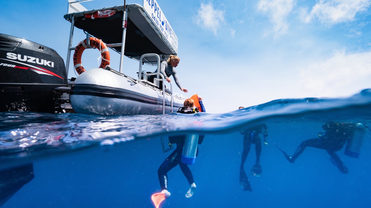 Keppel Dive