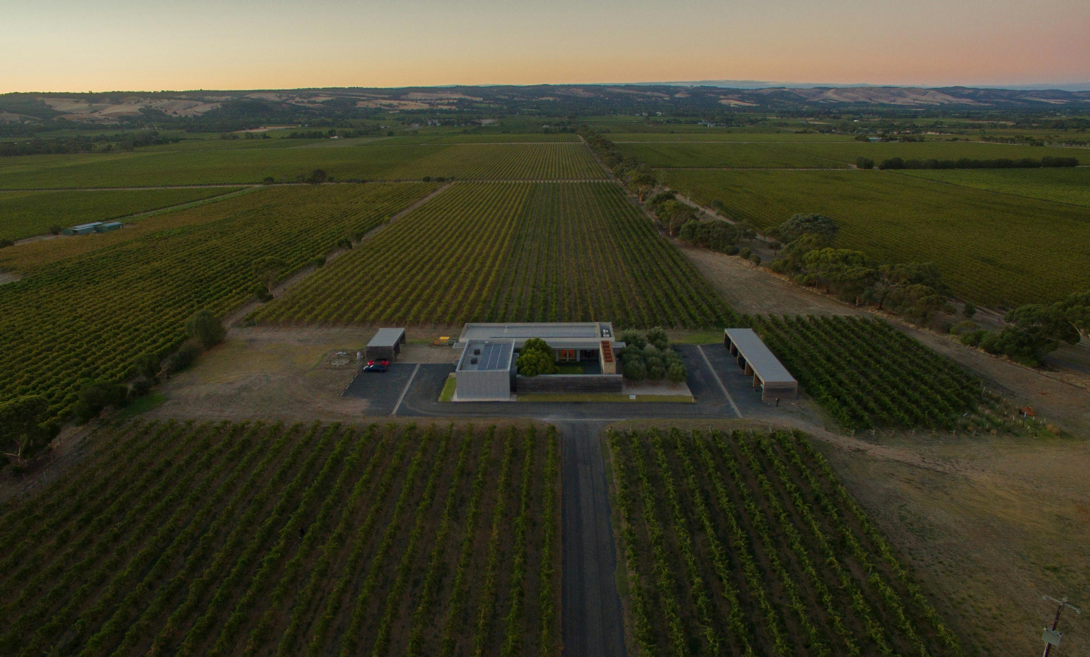 Our winery sits in the heart of McLaren Vale.