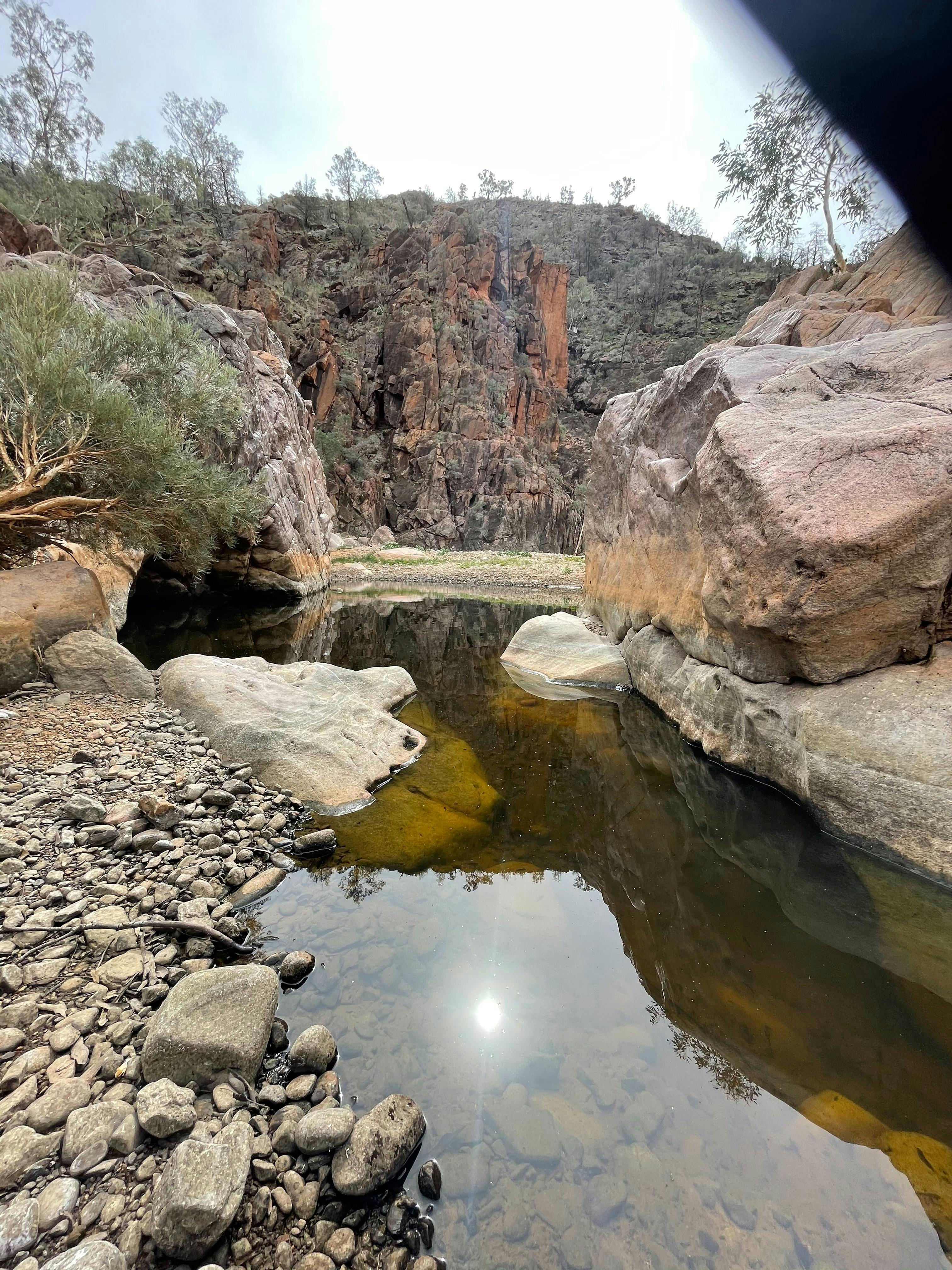 Arkaroola