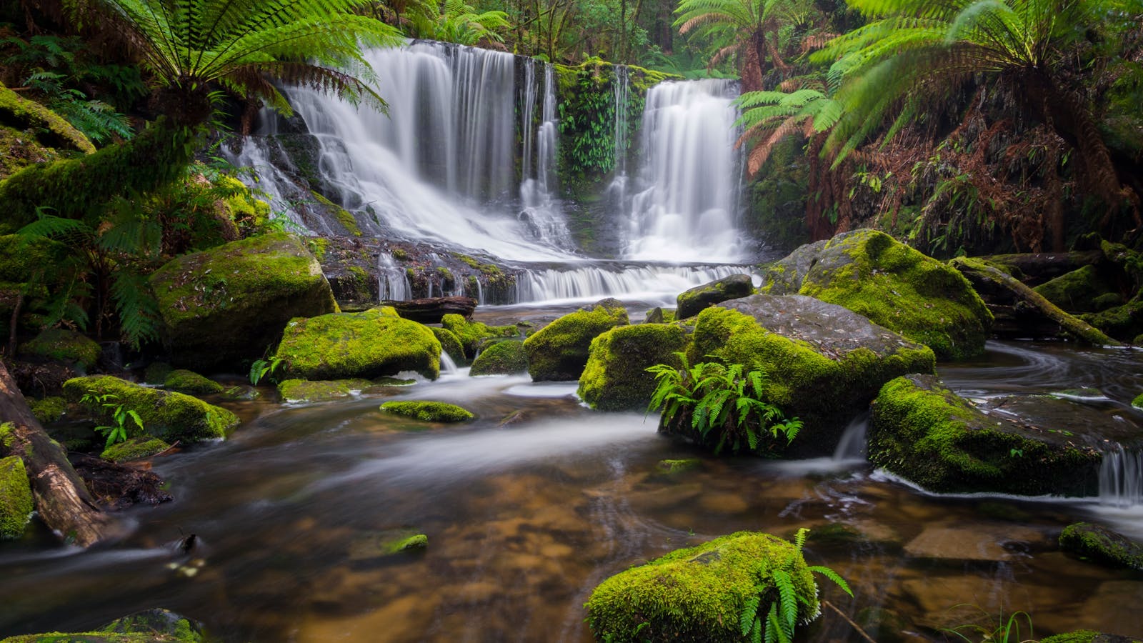 Horseshoe Falls - Mt Field
