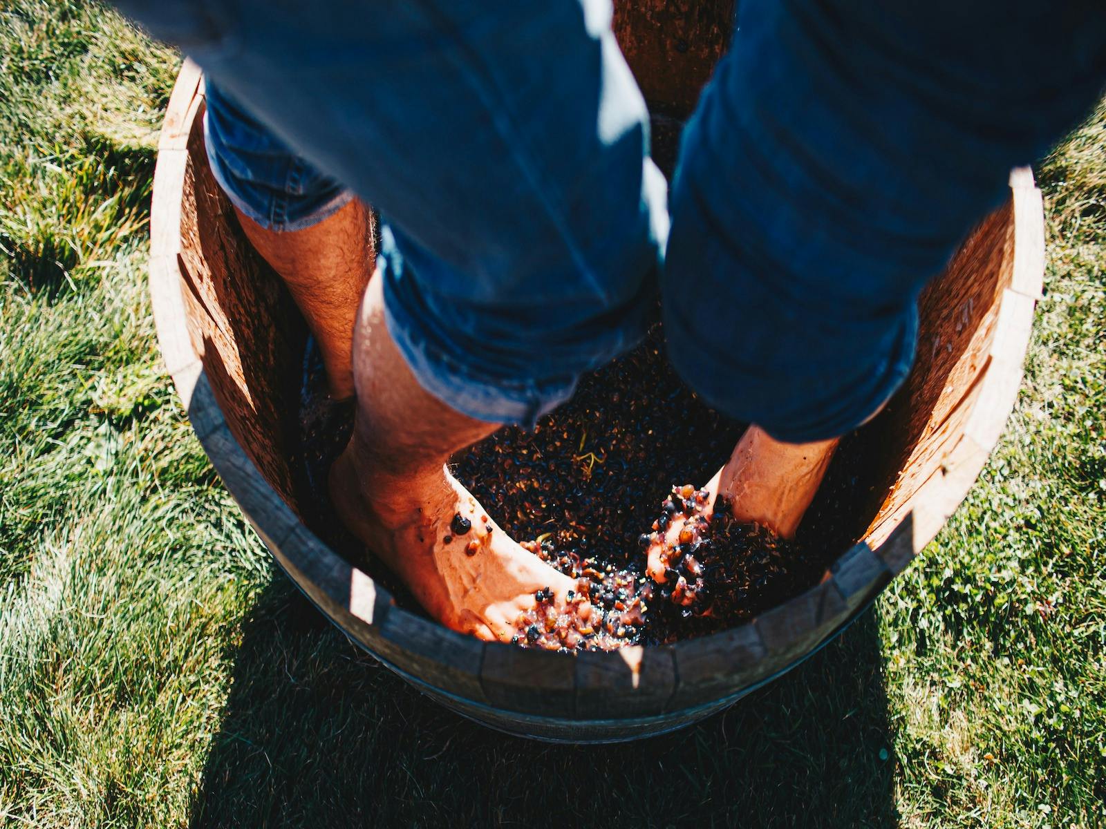 Meander Valley Vineyard